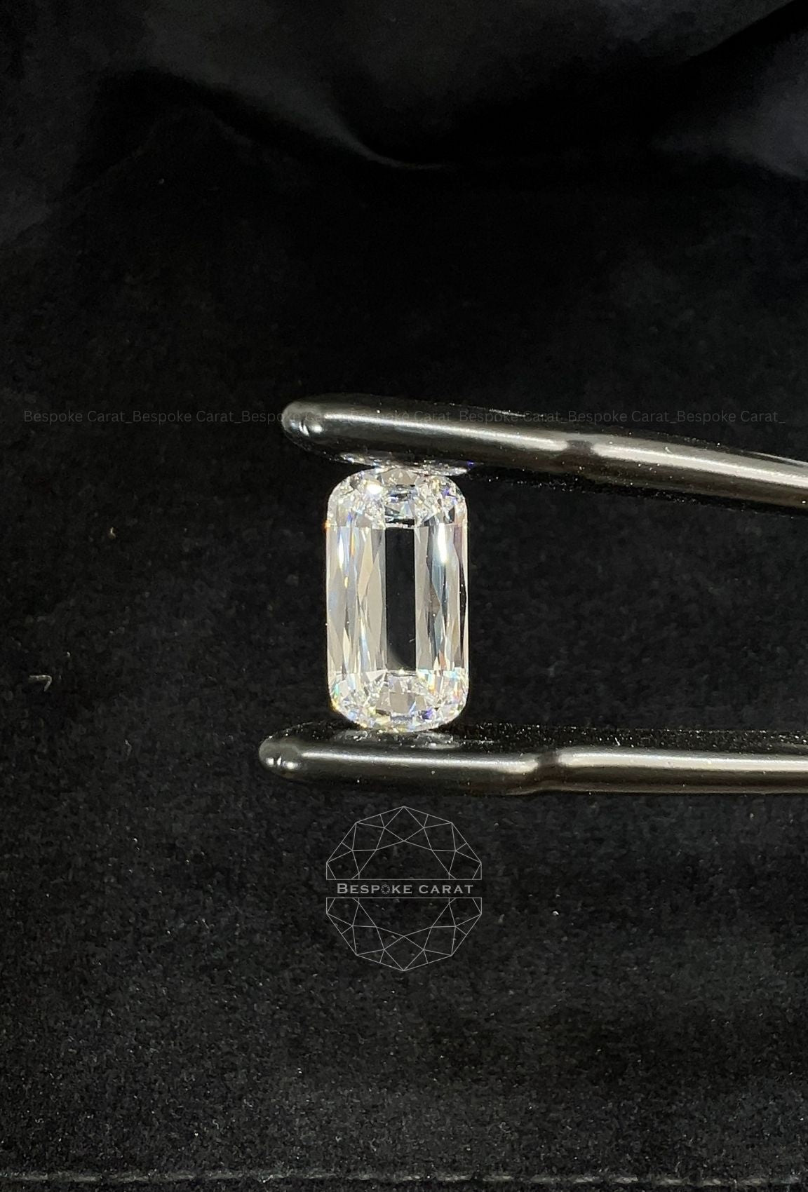 Cushion Ashoka Half Portrait Lab Grown Diamond