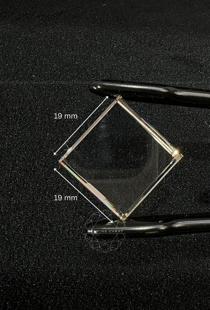 19mm Portrait cut Lab Grown Diamond Frame