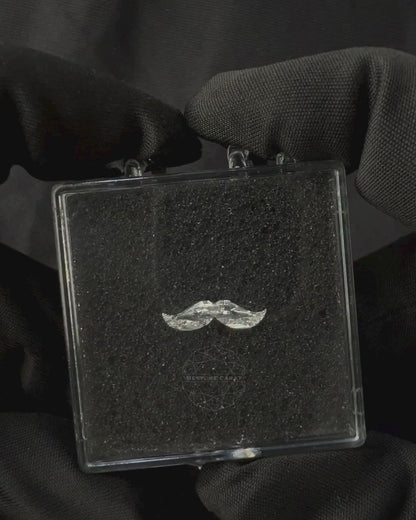 Mustache Cut Lab Grown Diamond 1.15 CT | Rare Fancy Shape, F VVS